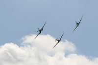 Spitfires