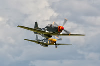 P-51 Mustangs