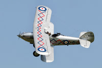 Hawker Demon (Demon Displays)